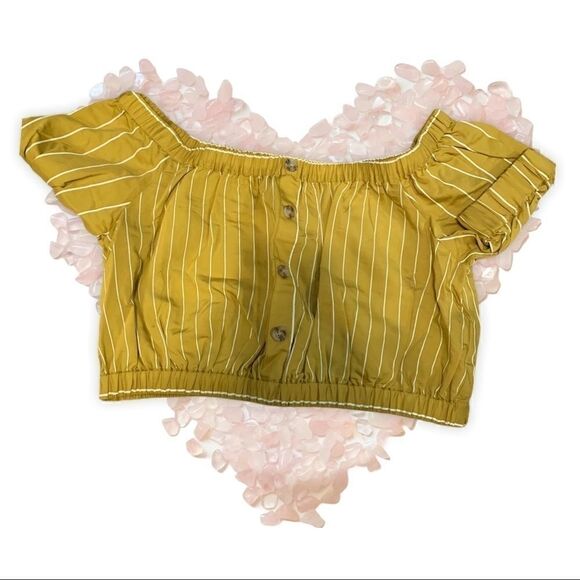 Medium Tularosa Yellow Pinstriped Crop Top - Picture 4 of 4